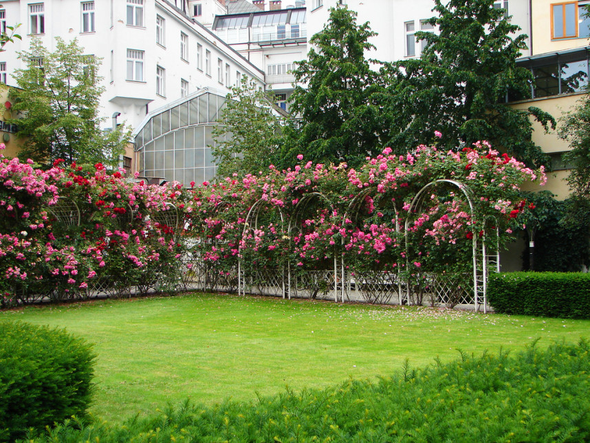 Botanical Garden, Prague