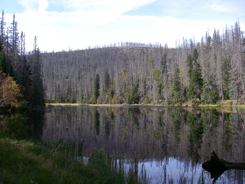 Sumava Lakes