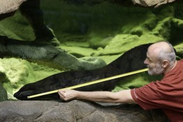 Prague zoo claims to have the biggest salamander
