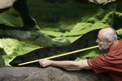 Prague zoo claims to have the biggest salamander