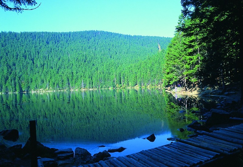Sumava Lakes