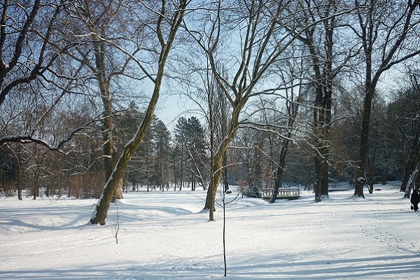 How to find charming winter places in Prague?